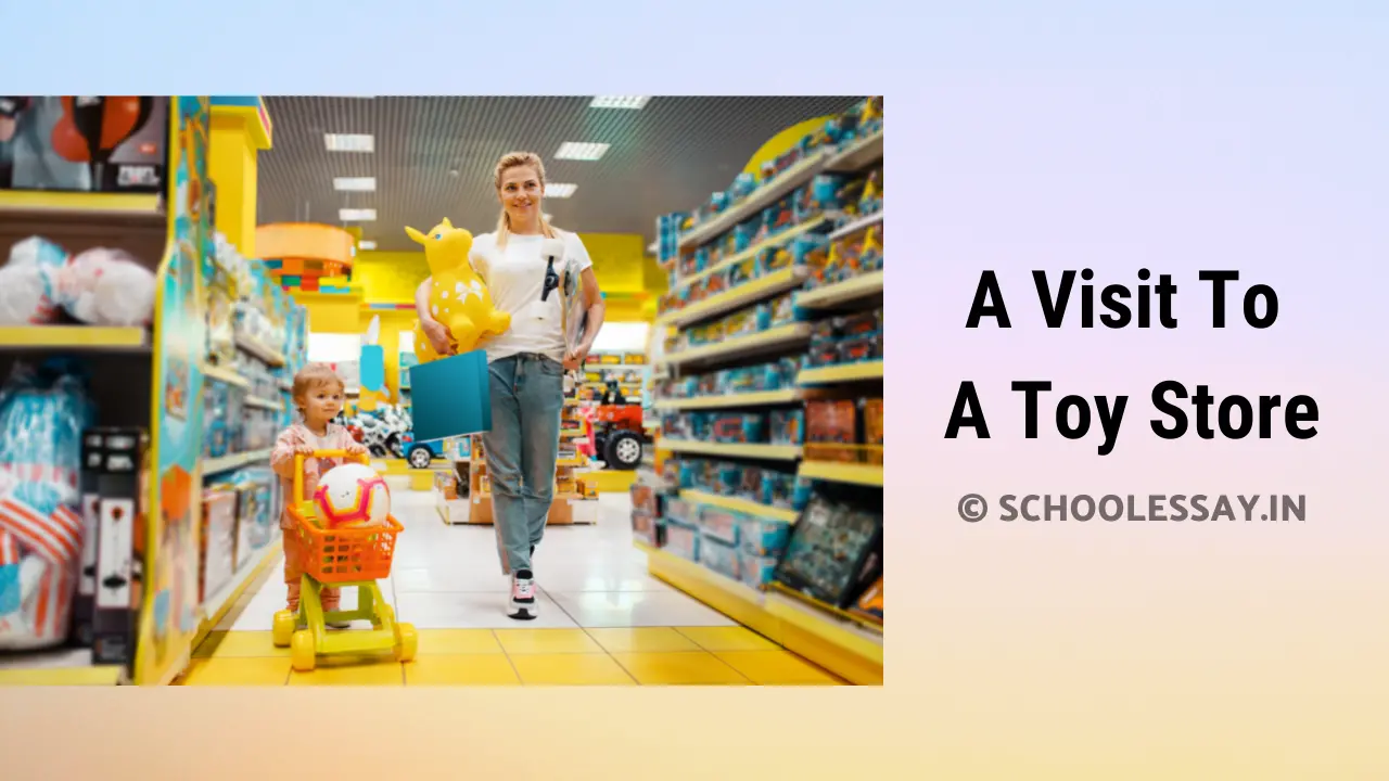 Essay On A Visit To A Toy Store