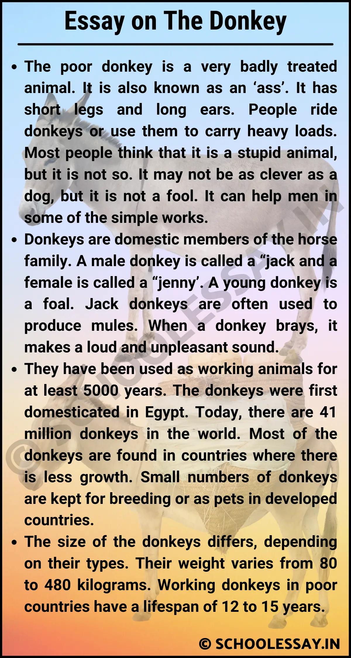 Essay on The Donkey
