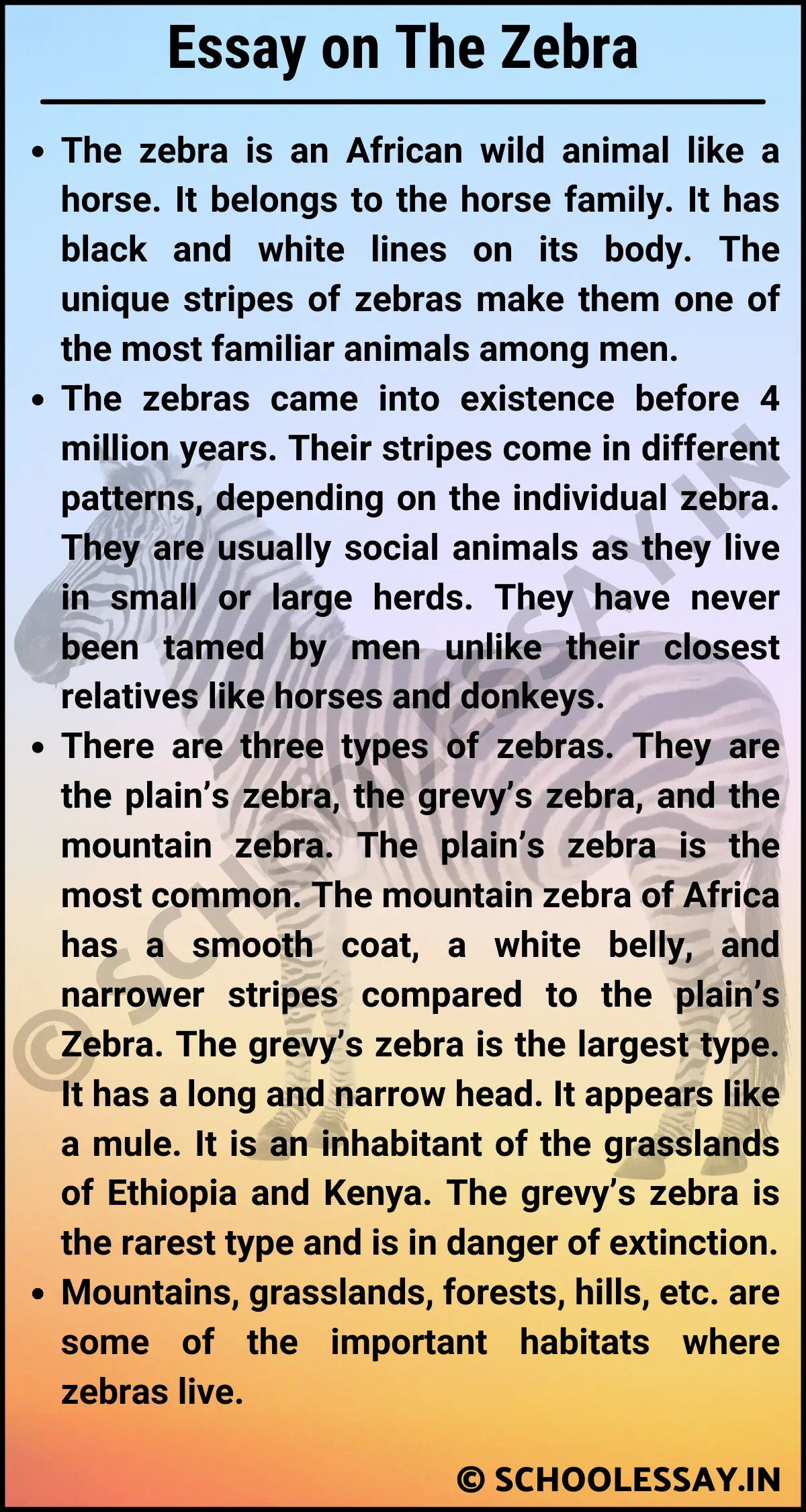 Essay on The Zebra