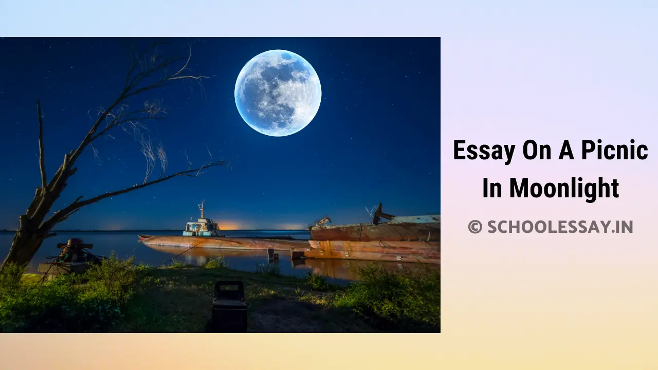 Essay On A Picnic In Moonlight