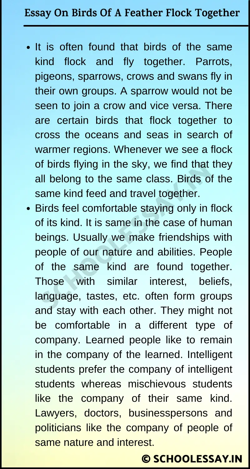 Essay On Birds Of A Feather Flock Together