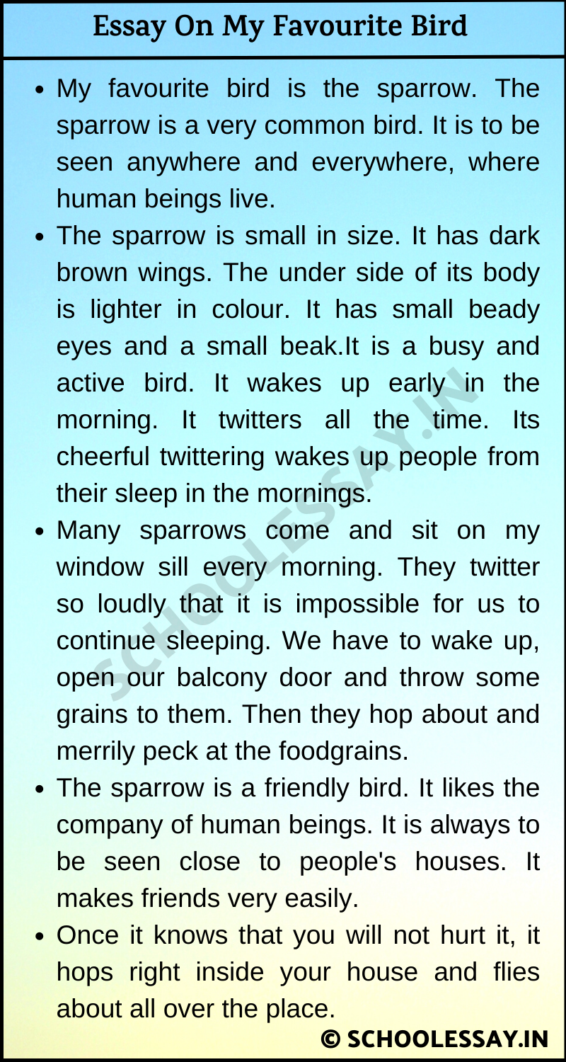 Essay On My Favourite Bird