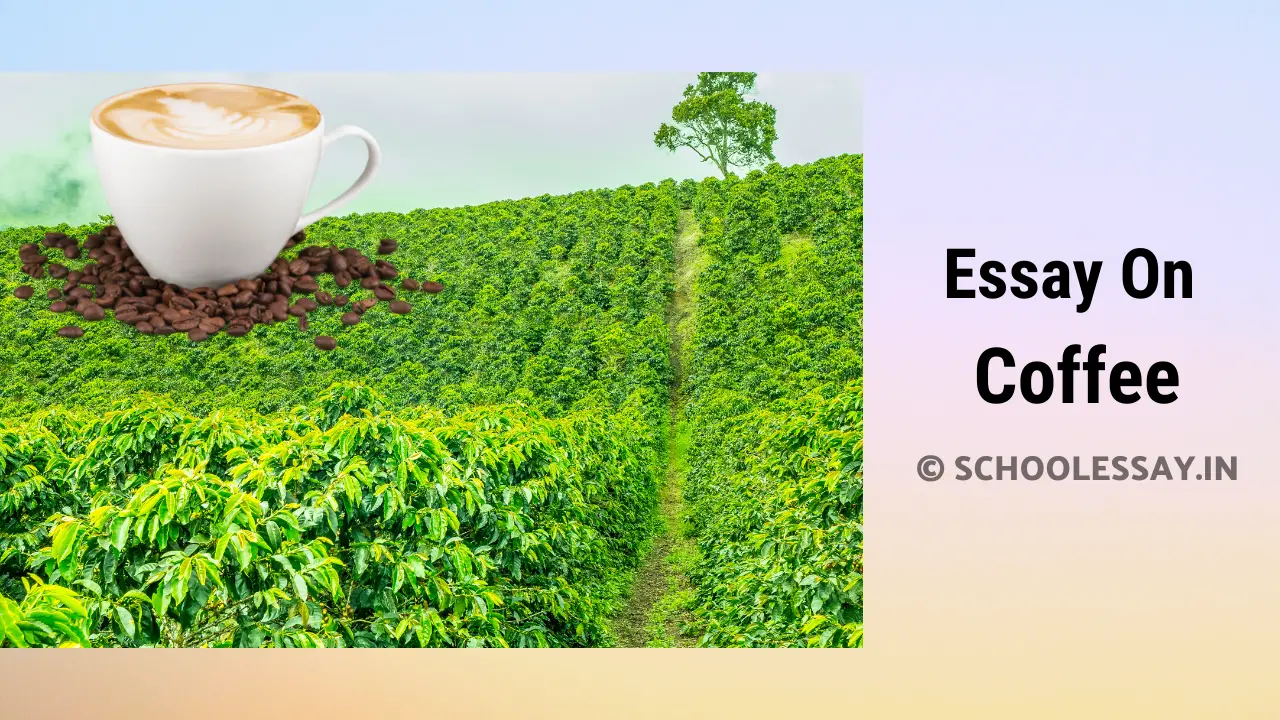 Read more about the article Essay On Coffee