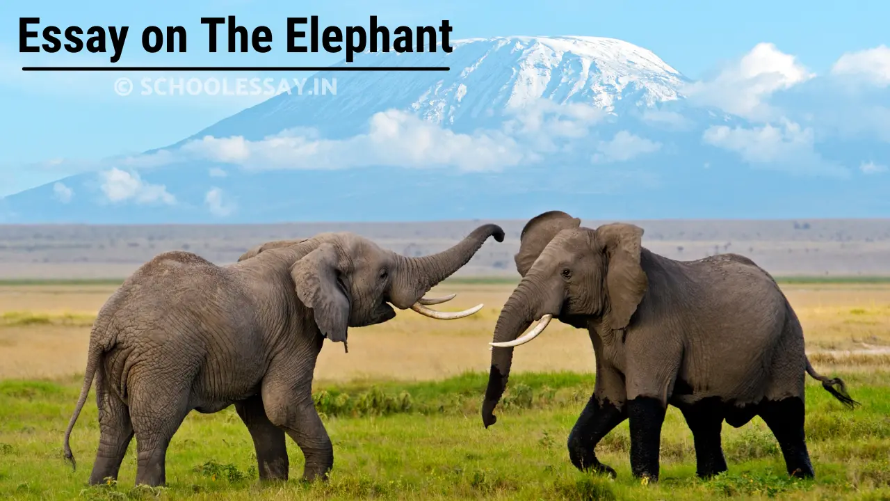 Read more about the article Essay on The Elephant