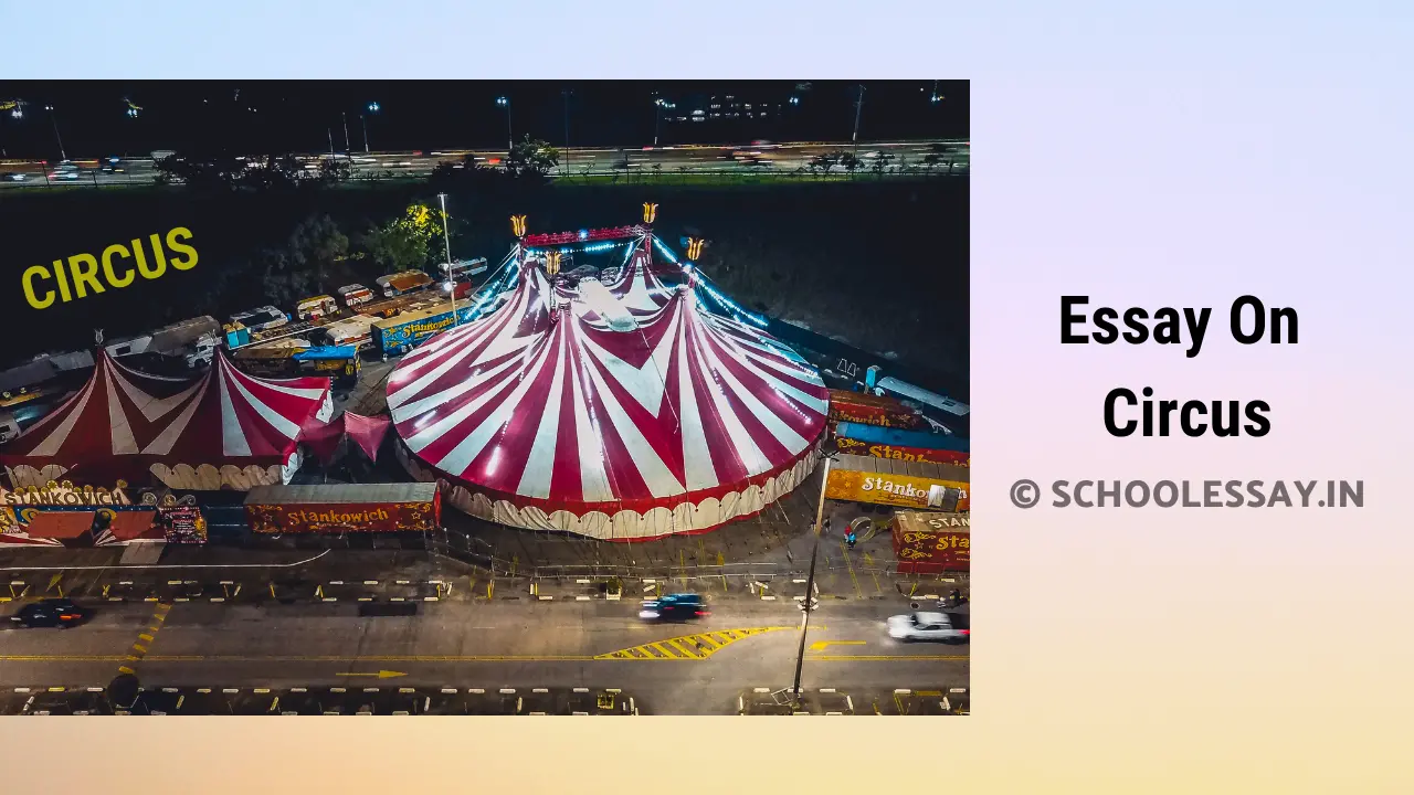 Read more about the article Essay On Circus