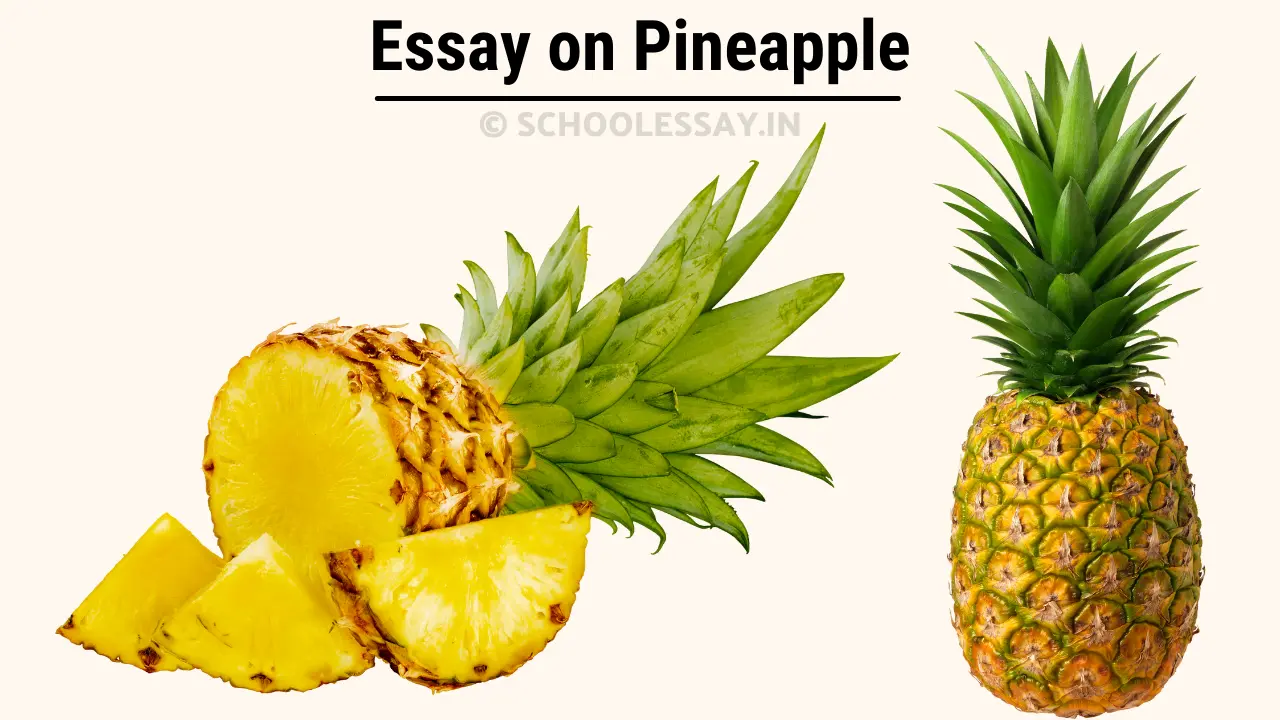 Read more about the article Essay on Pineapple