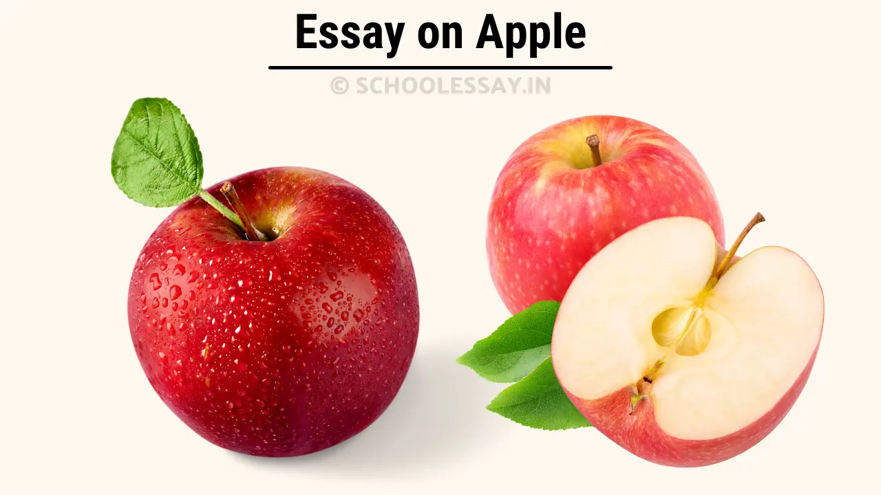 Read more about the article Essay on Apple