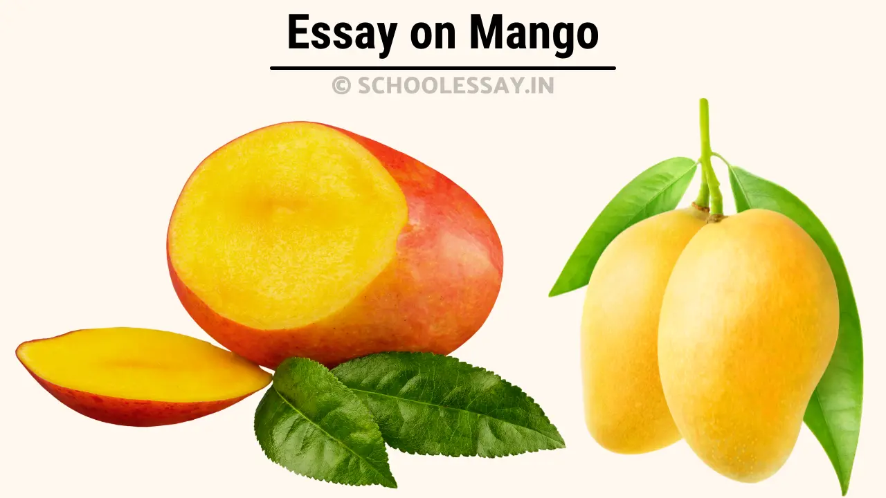 Read more about the article Essay on Mango