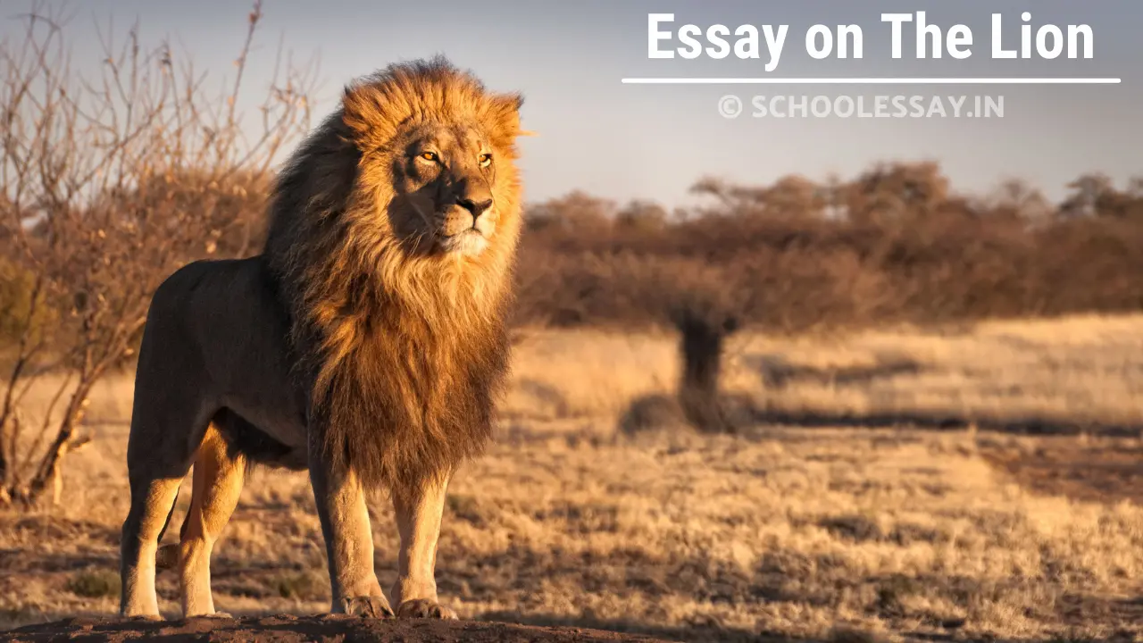 Read more about the article Essay on The Lion