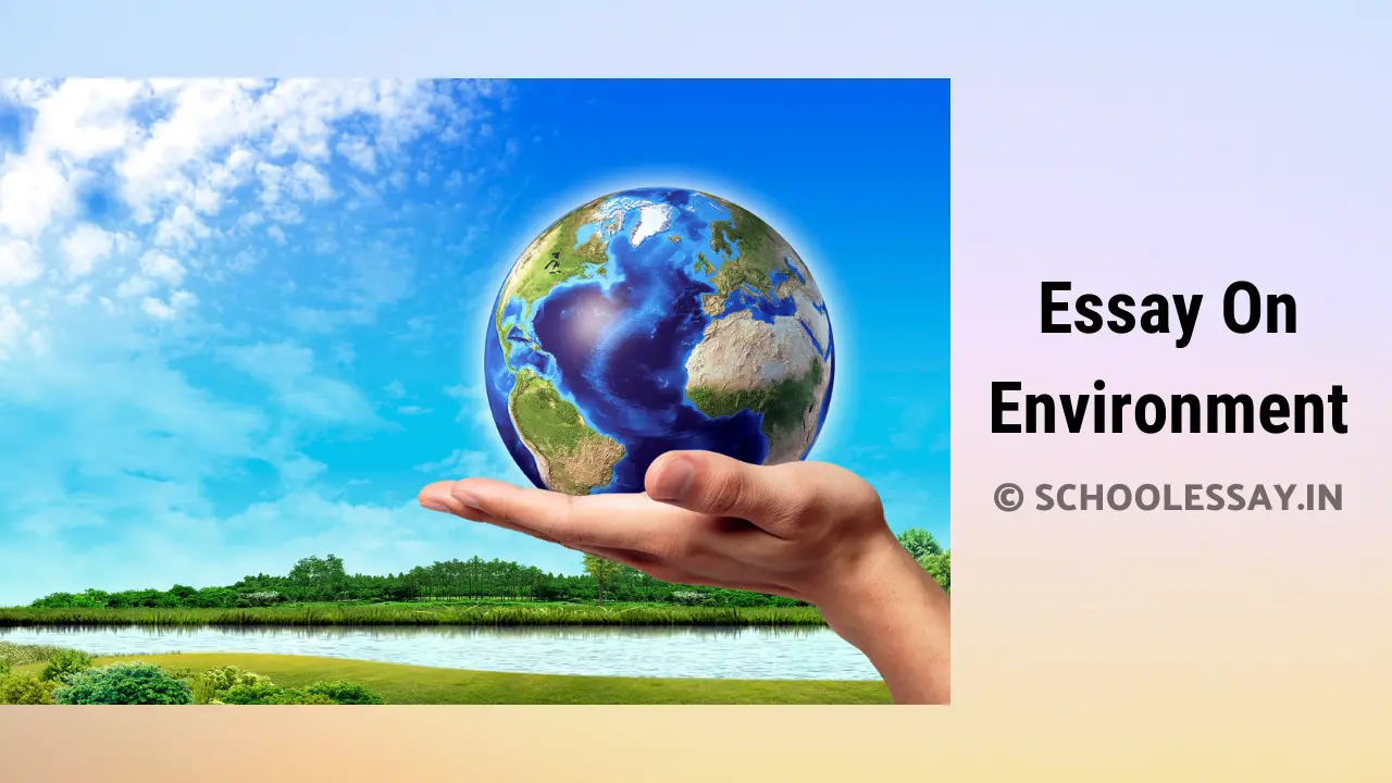 Read more about the article Essay On Environment