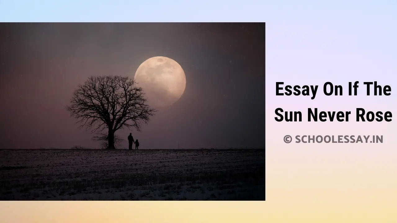 Read more about the article Essay On If The Sun Never Rose