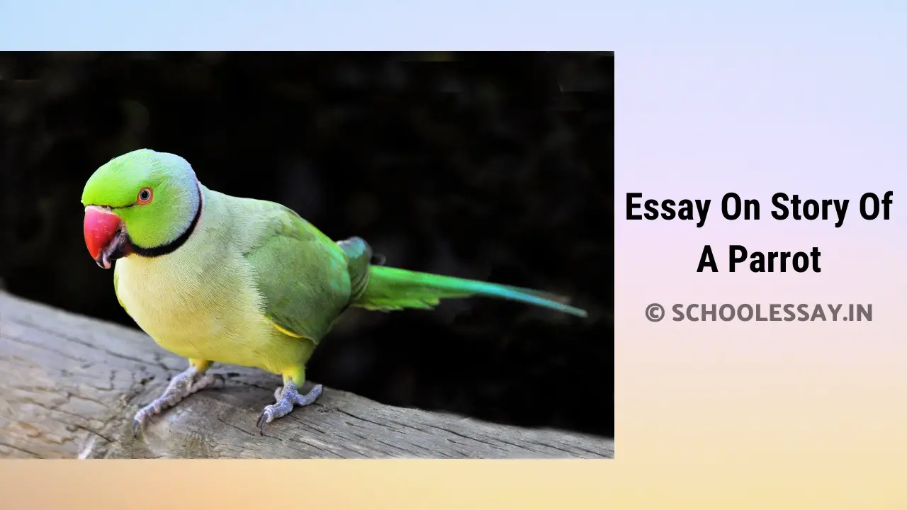 Read more about the article Essay On Story Of A Parrot