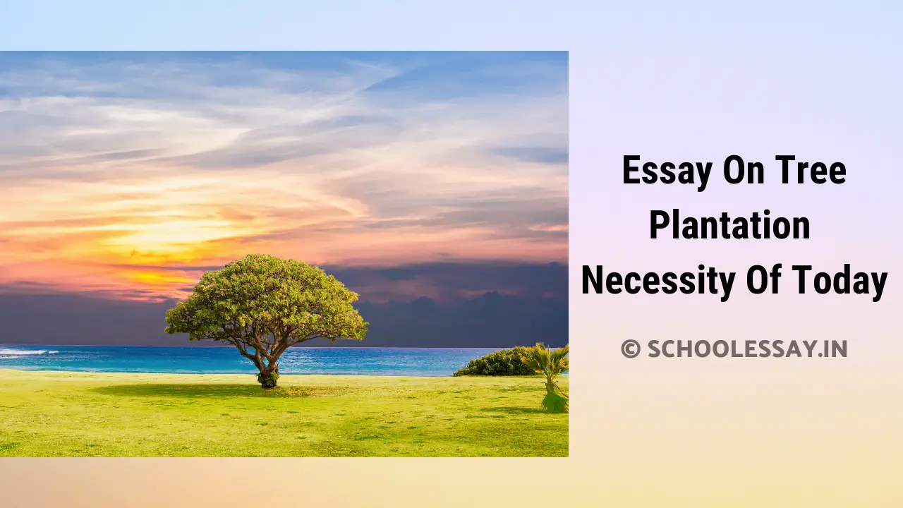 Read more about the article Essay On Tree Plantation Necessity Of Today