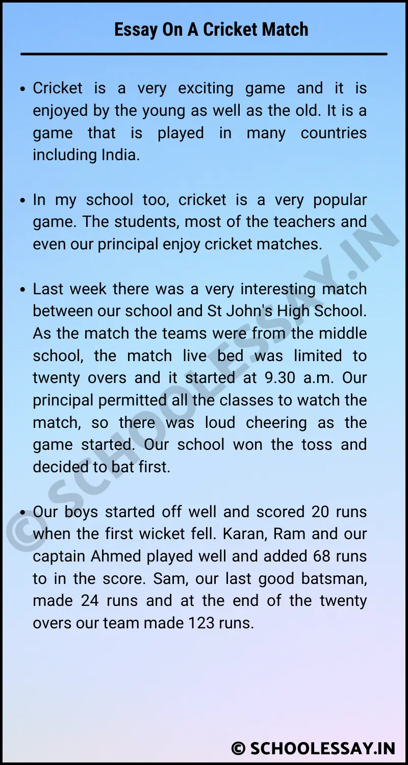 essay on a cricket match