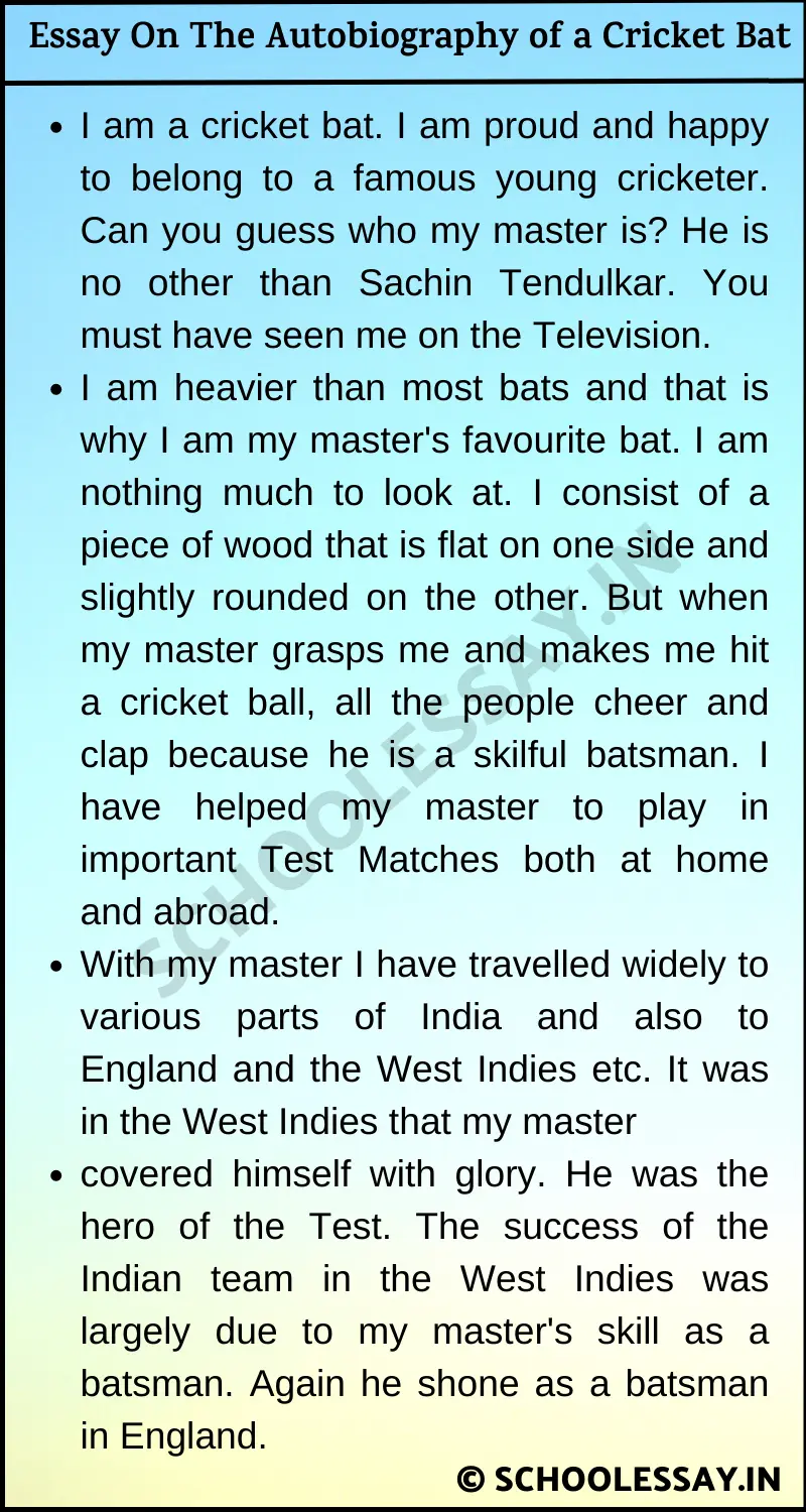 essay on cricket bat