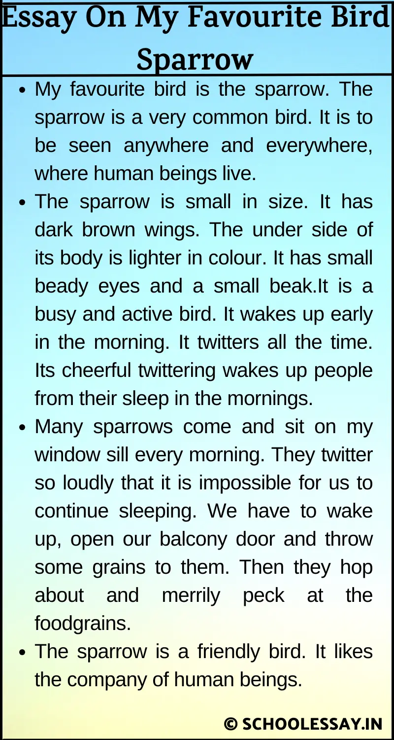 Essay On My Favourite Bird Sparrow