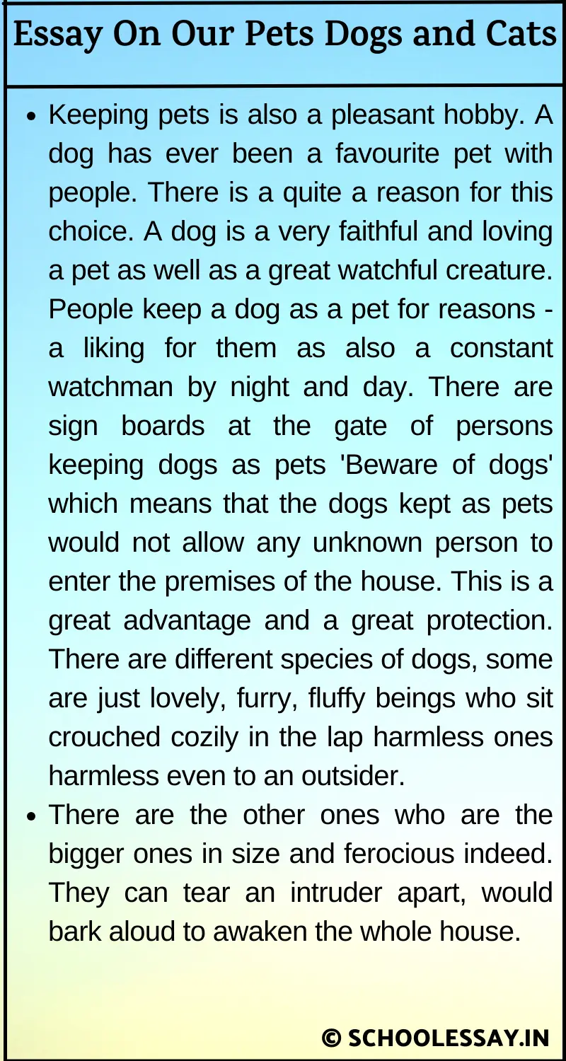 Essay On Our Pets Dogs and Cats