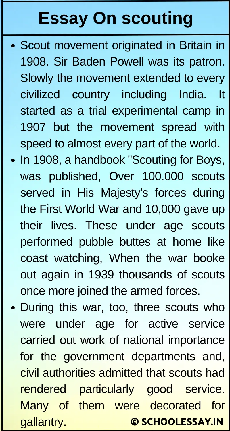 Essay On scouting